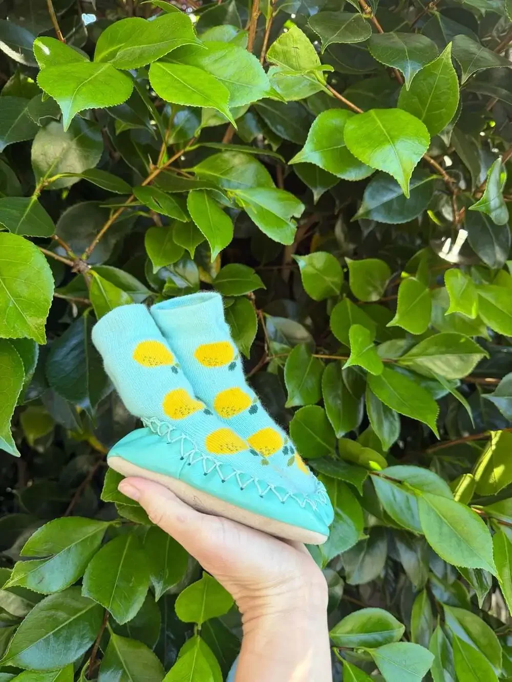 Hanna Andersson Lemon Print Slipper Socks with Leather Sole